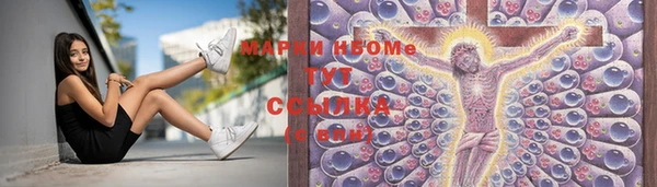 apvp Семилуки
