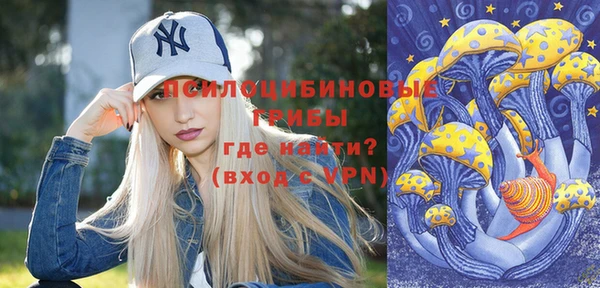 мдпв Новоульяновск