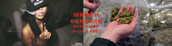 apvp Семилуки