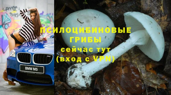 apvp Семилуки